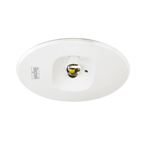 Plura Luce Oval och rund lins infälld LFP