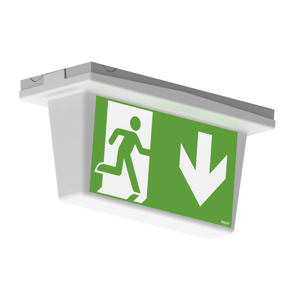 Dubbelsidig Kupa för Infinita inkl piktogram