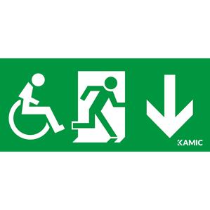 Piktogram Extraline XDID HCP Pil Ner